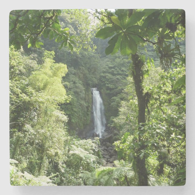 Trafalgar Falls Tropical Rainforest Photography Stone Coaster (Front)