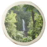 Trafalgar Falls Tropical Rainforest Photography Sugar Cookie