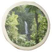 Trafalgar Falls Tropical Rainforest Photography Sugar Cookie (Front)