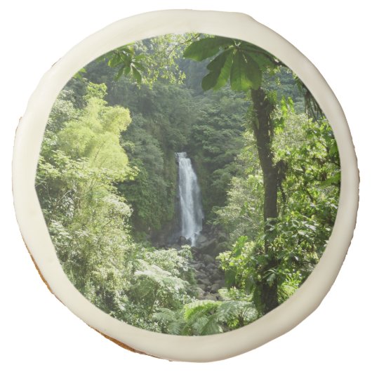 Trafalgar Falls Tropical Rainforest Photography Sugar Cookie (Front)