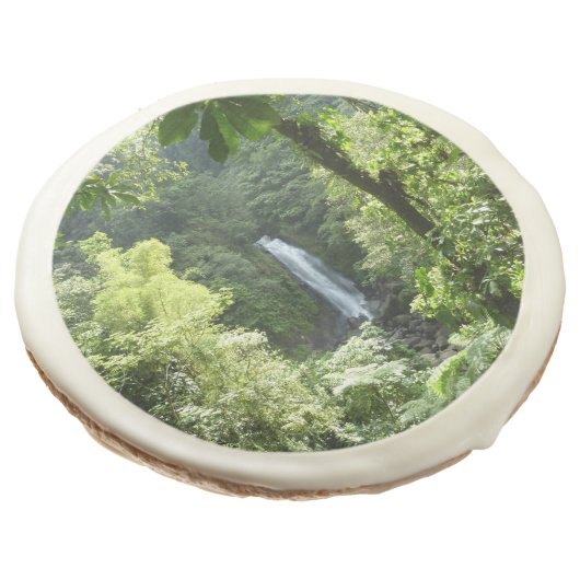 Trafalgar Falls Tropical Rainforest Photography Sugar Cookie (Angled)