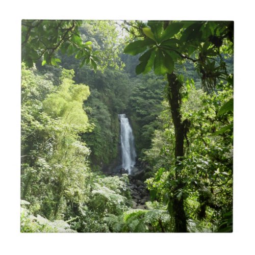 Trafalgar Falls Tropical Rainforest Photography Tile