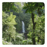 Trafalgar Falls Tropical Rainforest Photography Trivet
