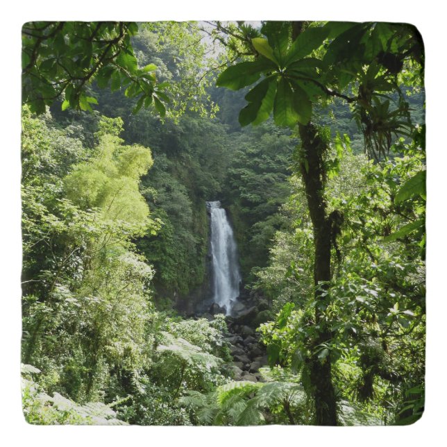 Trafalgar Falls Tropical Rainforest Photography Trivet (Front)