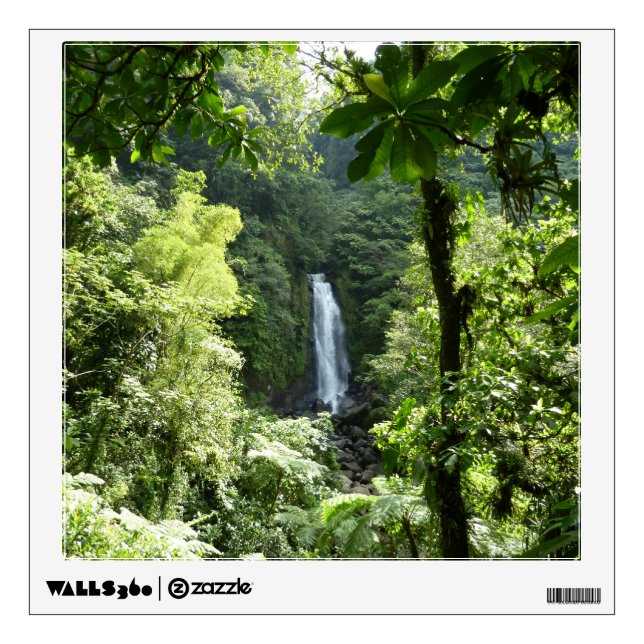 Trafalgar Falls Tropical Rainforest Photography Wall Sticker (Front)