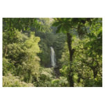 Trafalgar Falls Tropical Rainforest Photography Wood Poster