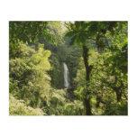 Trafalgar Falls Tropical Rainforest Photography Wood Wall Decor