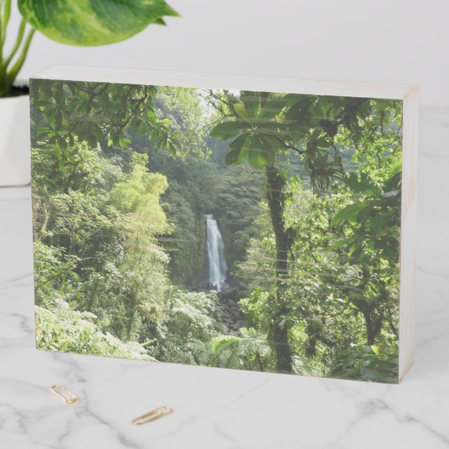 Trafalgar Falls Tropical Rainforest Photography Wooden Box Sign (In Situ Horizontal)