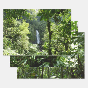 Trafalgar Falls Tropical Rainforest Photography Wrapping Paper Sheets