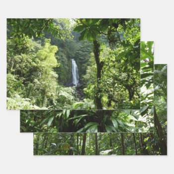 Trafalgar Falls Tropical Rainforest Photography Wrapping Paper Sheets by mlewallpapers at Zazzle