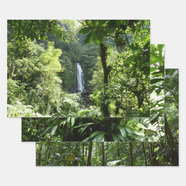 Trafalgar Falls Tropical Rainforest Photography Wrapping Paper Sheets (Set)