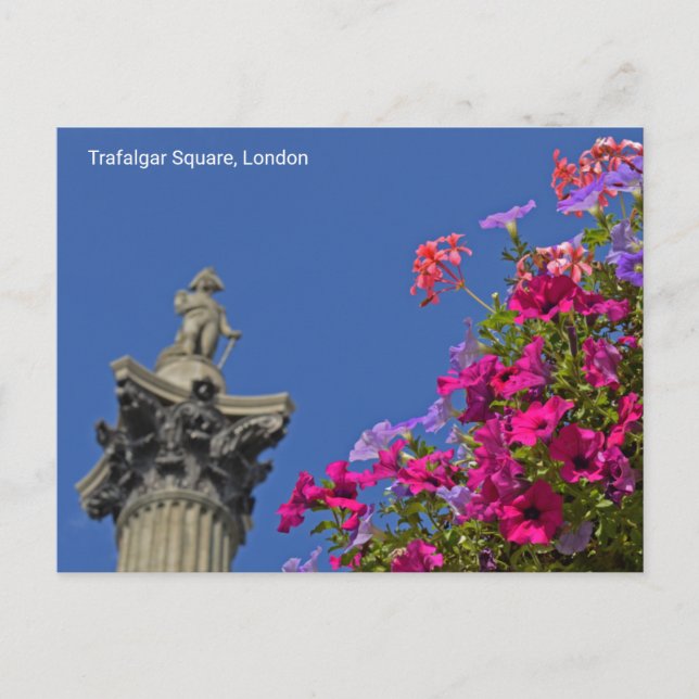 Trafalgar Square Nelson's Column, London UK Postcard (Front)