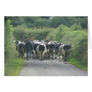 Traffic Jam! Cards
