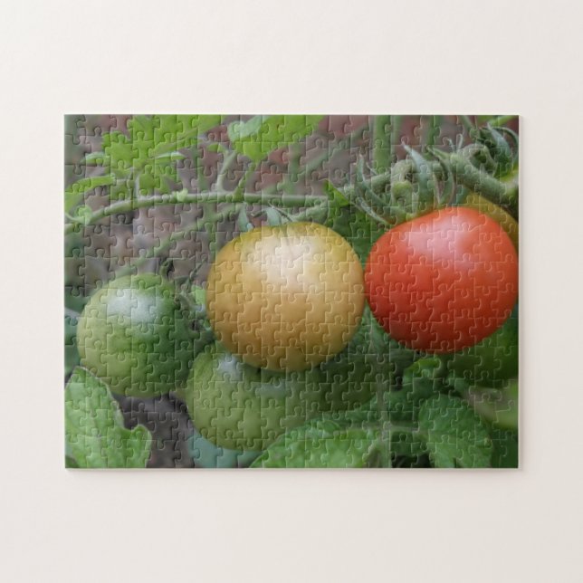 Traffic Light Tomatoes Puzzle (Horizontal)
