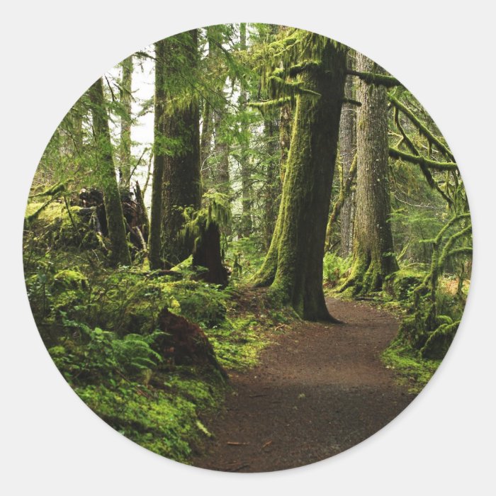 Trail Amongst Giants Round Sticker