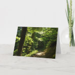 Trail from Silver Falls Card