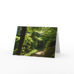 Trail from Silver Falls Card