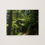 Trail from Silver Falls Jigsaw Puzzle