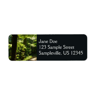 Trail from Silver Falls Label