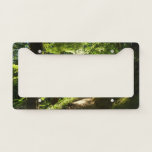 Trail from Silver Falls License Plate Frame