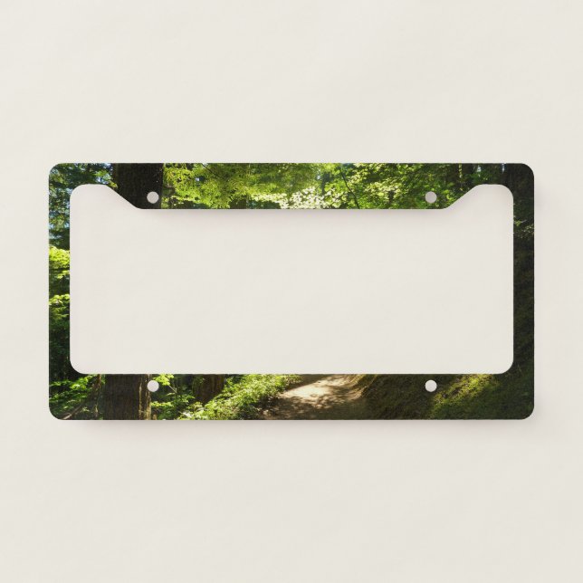 Trail from Silver Falls License Plate Frame (Front)