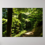 Trail from Silver Falls Poster
