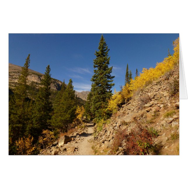 Trail from the Loch at Rocky Mountains Cards (Front Horizontal)