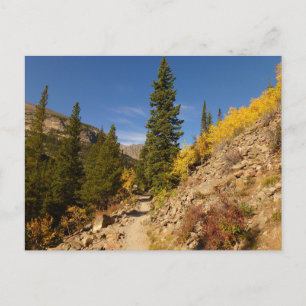 Trail from the Loch at Rocky Mountains Postcard