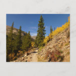 Trail from the Loch at Rocky Mountains Postcard