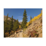 Trail from the Loch at Rocky Mountains Postcard