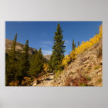 Trail from the Loch at Rocky Mountains Poster