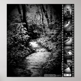 Trail Image Poster