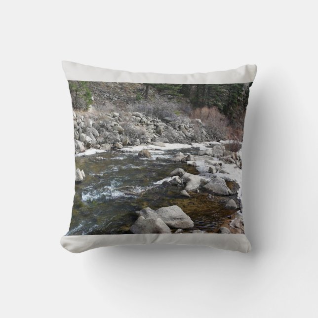 Trail in Jefferson County, Colorado Throw Pillow (Front)