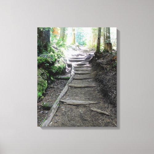 Trail in the Woods of Mt Rainier Canvas Print