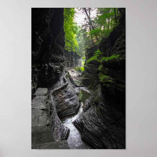 Trail in Watkins Glen, New York Poster (Front)