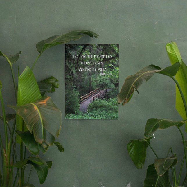 Trail into the Forest John Muir Quote Acrylic Print (In Situ)