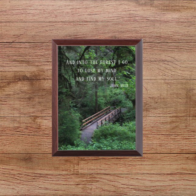 Trail into the Forest John Muir Quote Plaque (In Situ)