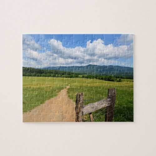 Trail into the Mountains  _  8 x 10 Jigsaw Puzzle