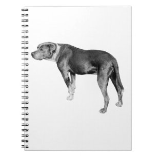 Trail Notes, Steady Heart Notebook