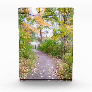 Trail of Green Acrylic Award