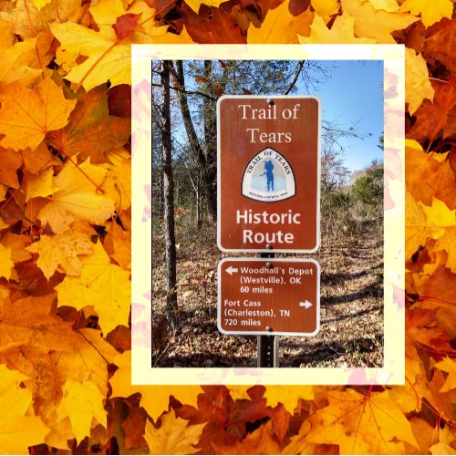 Trail of Tears Marker Pea Ridge Missouri Postcard