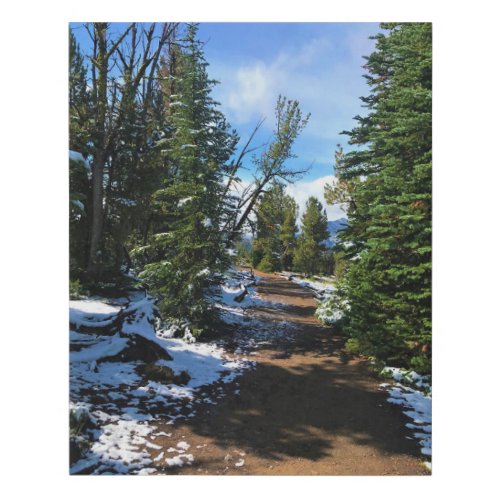 Trail on Mount Howard OR Faux Canvas Print