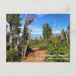 Trail on Mount Howard, OR Postcard