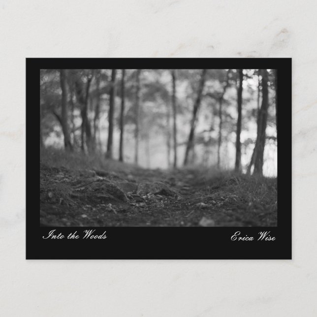 Trail through the Woods Postcard (Front)