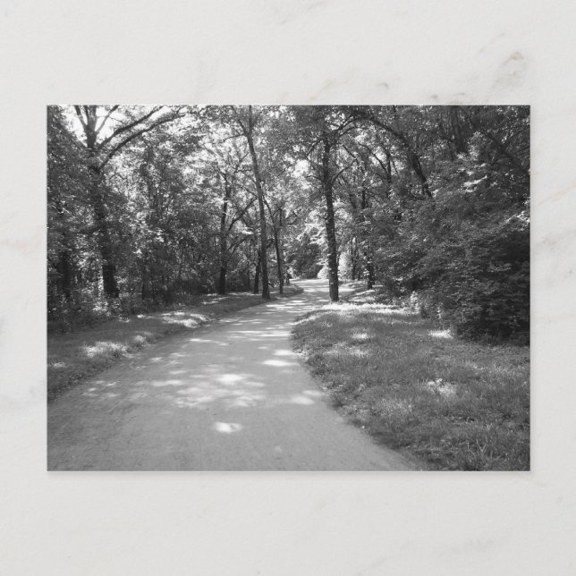Trail through the Woods Postcard (Front)