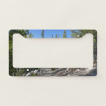 Trail to Alberta Falls License Plate Frame