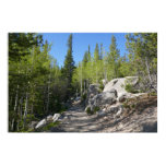 Trail to Alberta Falls Poster