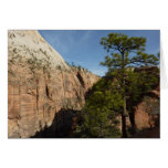 Trail to Angels Landing in Zion National Park
