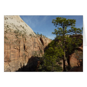 Trail to Angels Landing in Zion National Park