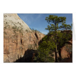 Trail to Angels Landing in Zion National Park Card